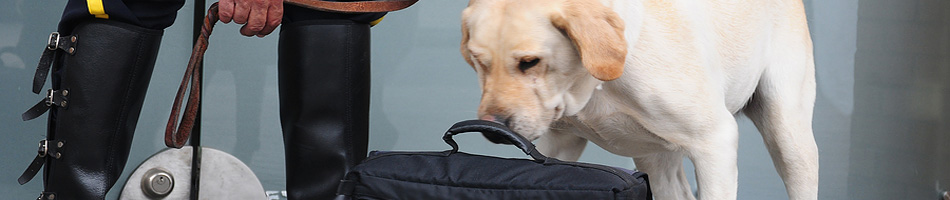 Beveiligingen Speurhonden